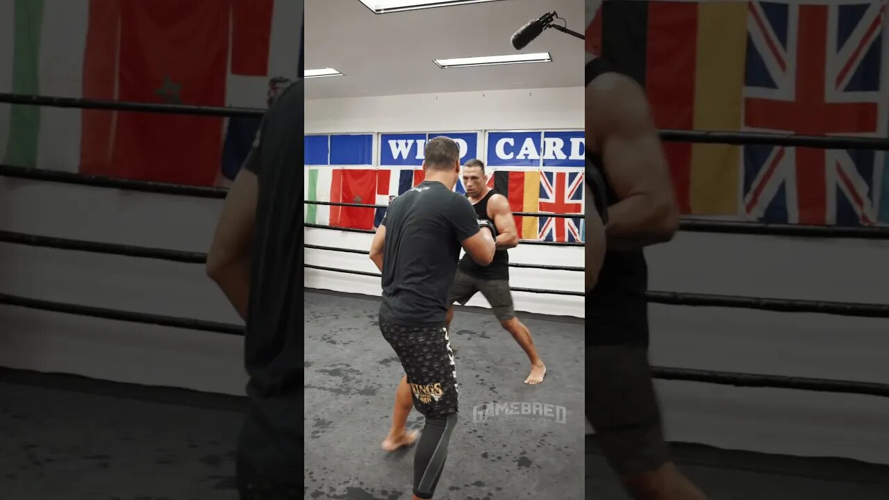 Fabricio Werdum training for BAREKNUCKLE FIGHT! 🚨