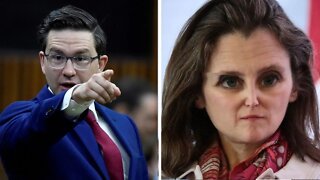 🔥 Pierre Poilievre's 1 Liner That Left Freeland Speechless