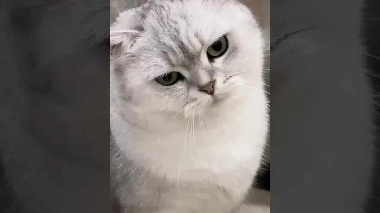 Please Start Your Performance