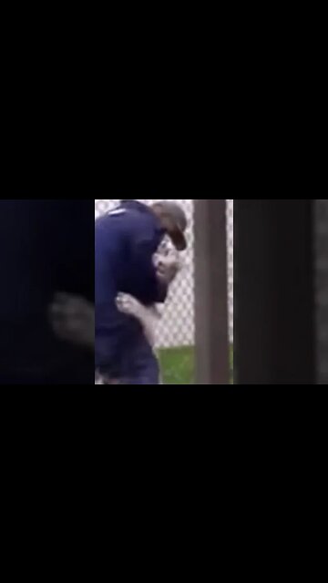 Mike Tyson was a PITBULL!