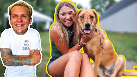 don't train your dog like this