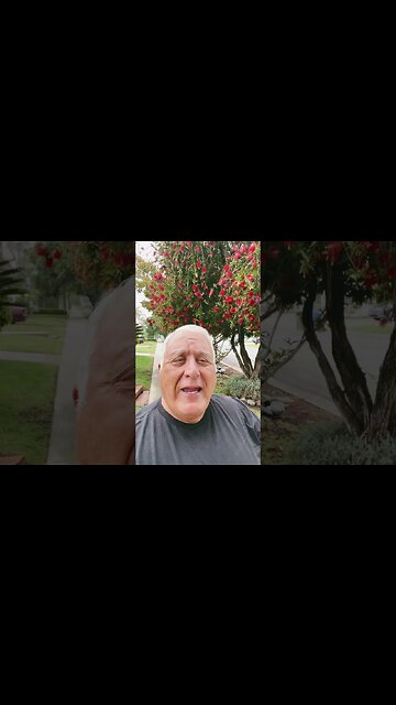 How ChatGPT helps me be more efficient as a Realtor