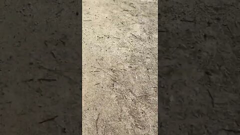 Affordable Homeownership! New Home Tours.