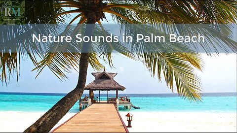 Nature Sounds in Palm Beach | Sleeping and Relaxation - 1 Hour - Waterfalls - ASMR