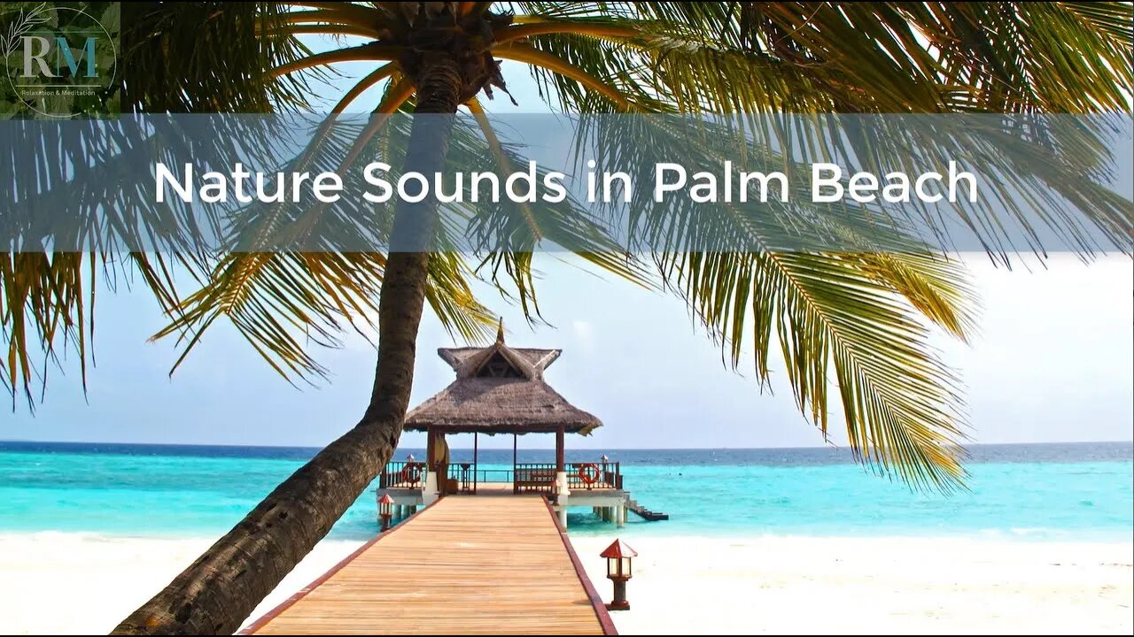 Nature Sounds in Palm Beach | Sleeping and Relaxation - 1 Hour - Waterfalls - ASMR