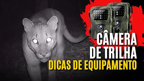 CÂMERAS DE TRILHA - DICAS DE EQUIPAMENTOS E MONTAGEM