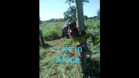 Life in Africa