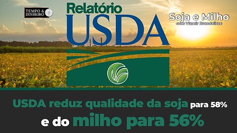 USDA reduz qualidade da soja para 58% e do milho para 56% .Veja com Vlamir Brandalizze