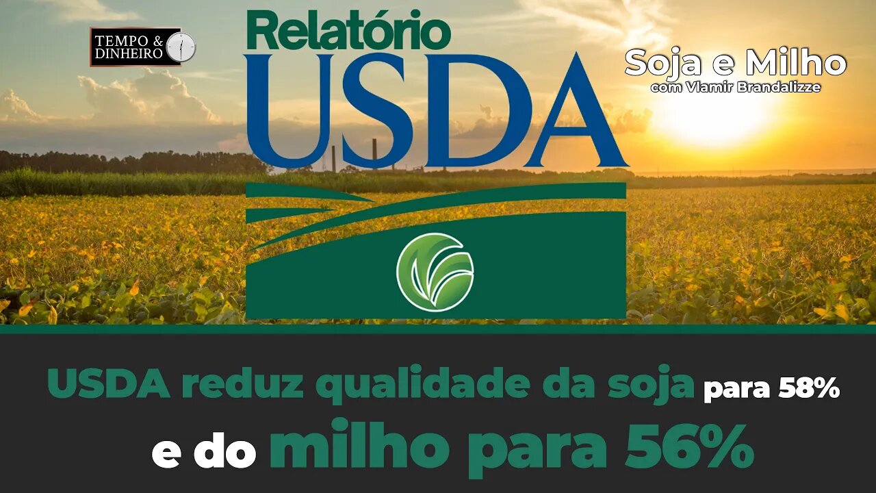 USDA reduz qualidade da soja para 58% e do milho para 56% .Veja com Vlamir Brandalizze