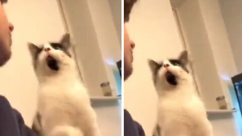 I thought the cat was opening his mouth the whole timex