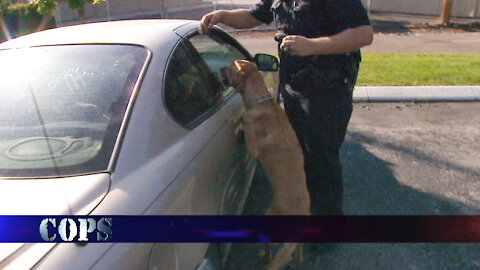 Those Aren't My Car, COPS TV SHOW