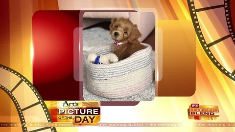 Art's Cameras Plus Picture of the Day for March 5!