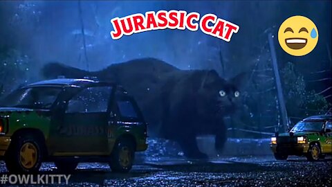 Funny Jurassic Park Scene Parody !!