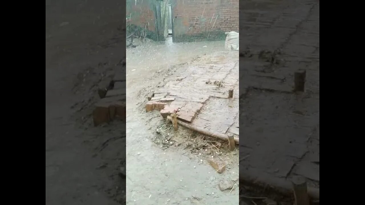 पत्थर की बारिश