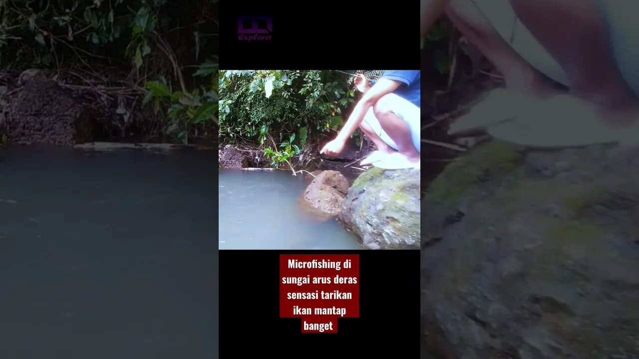 NYATA!! Mancing di sungai arus deras pakai joran wader sensasi tarikan ikan bikin heboh #mancing