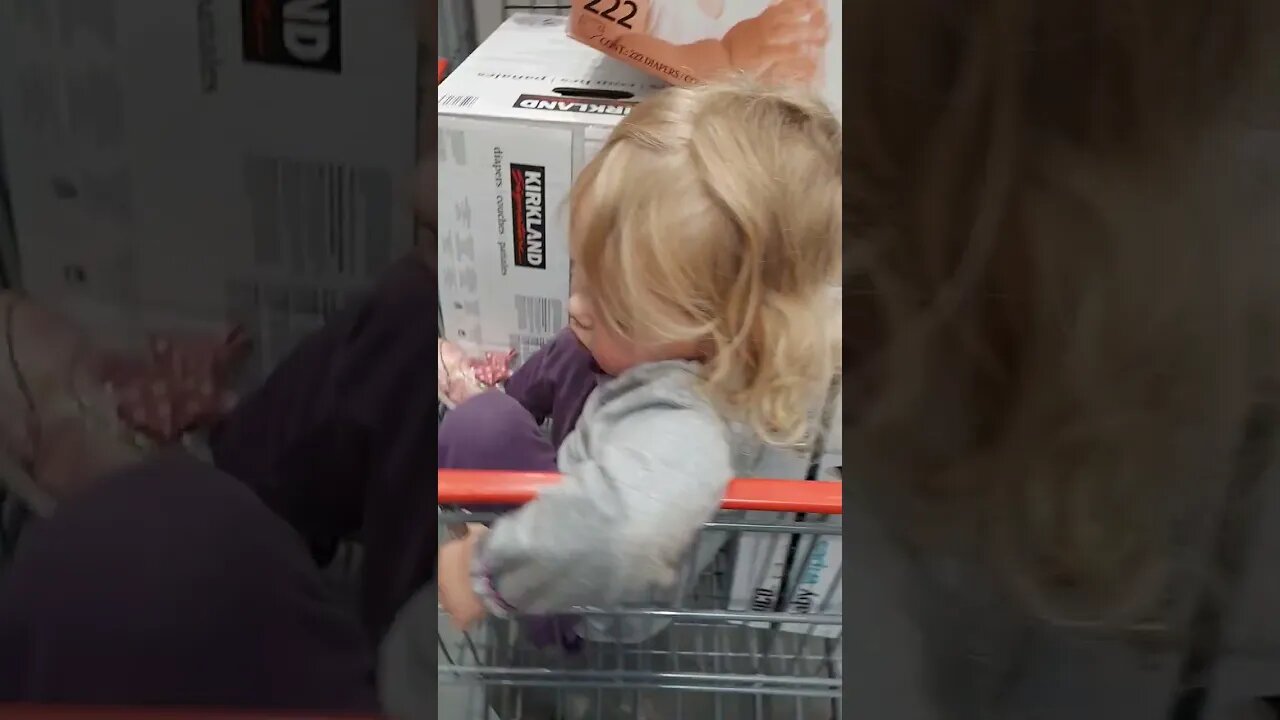 Costco Trip with Littles