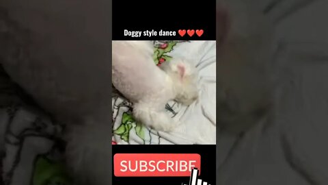 my dog ka dance 😂#status #dogshort #india #cutedog #dance #funny