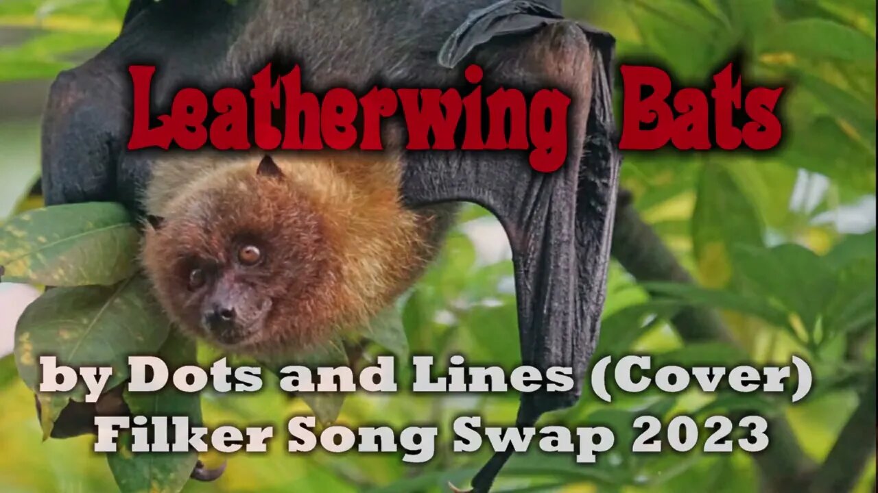 Leatherwing Bats by Dots and Lines (Cover)