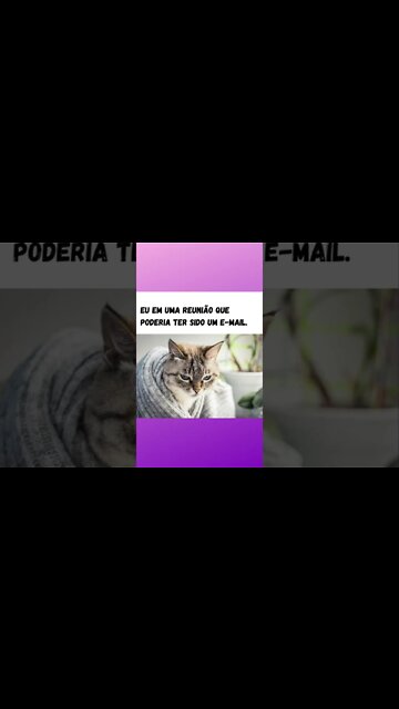 MEMES DE PESO - Venha rir com eles! - these meme are funny - #shorts