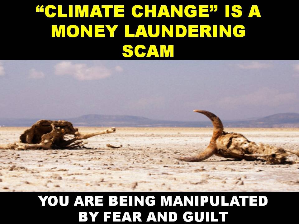 THE GLOBAL WARMING/CLIMATE CHANGE $ LAUNDERING SCAM
