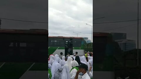 Rombongan cari bus