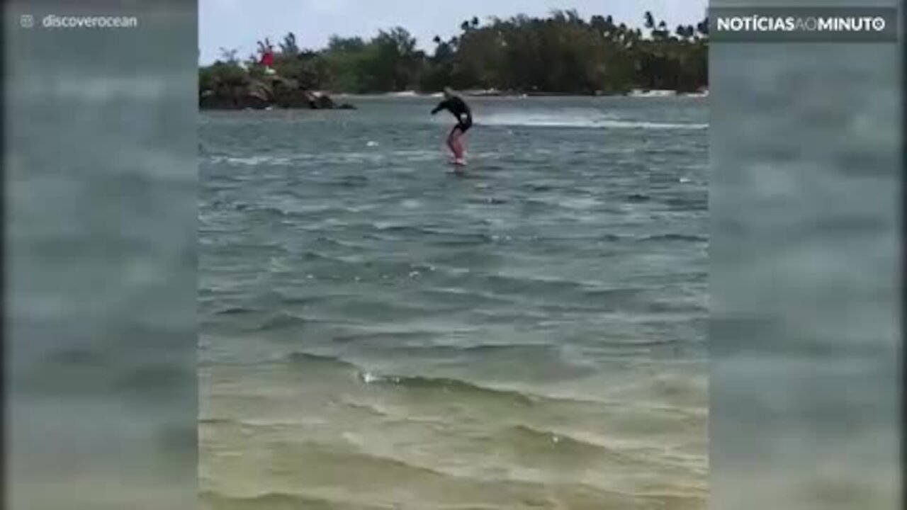 Surfista é surpreendido por raia!