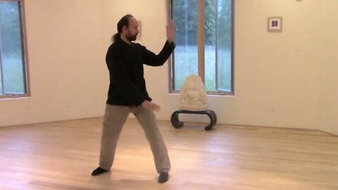 QIGONG CLASS EXCERPT WAVE HANDS LIKE CLOUDS