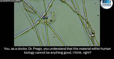 Ricardo Delgado & Dr Prego at La Quinta Columna Discuss Carbon Nano Tubes in Pfizer Vaccine