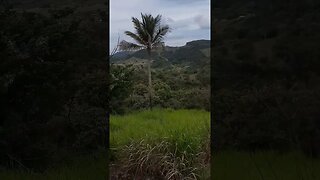 montanhas que amo