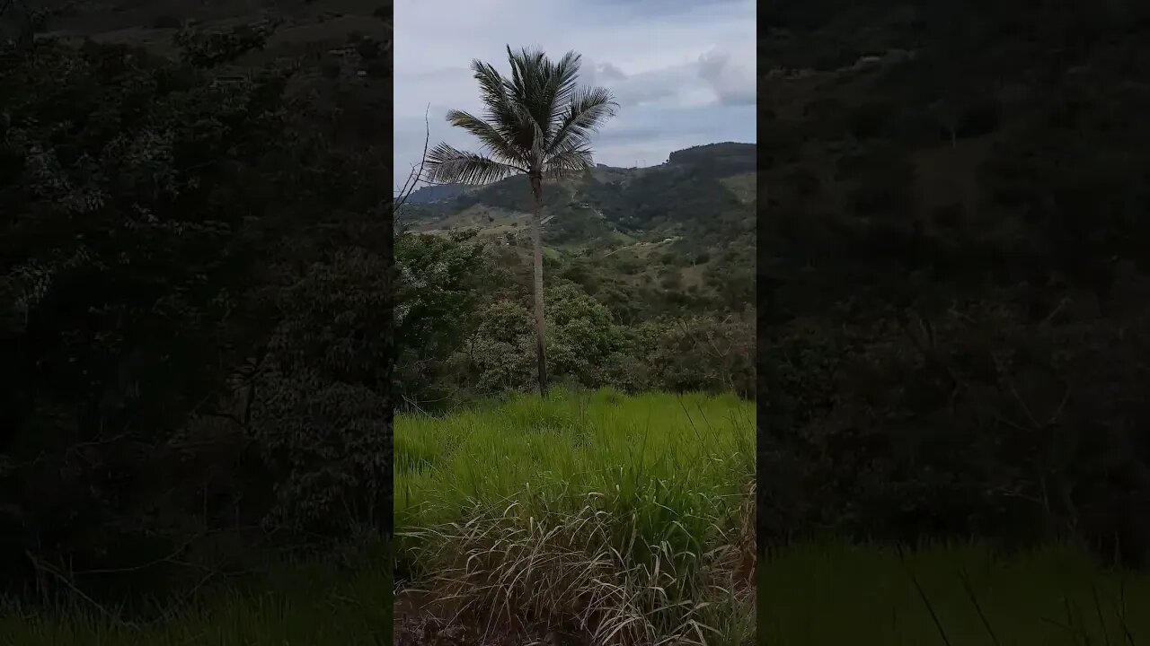 montanhas que amo