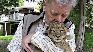 Hero war veteran cuddles with a baby lion cub