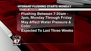 Jackson hydrant flush