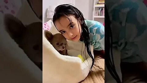 A Chihuahua So Adorable You Won't Believe What Happens Next!