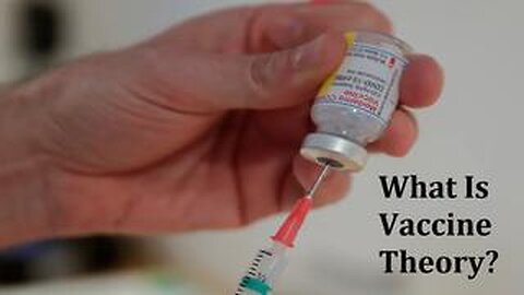 What Is Vaccine Theory?