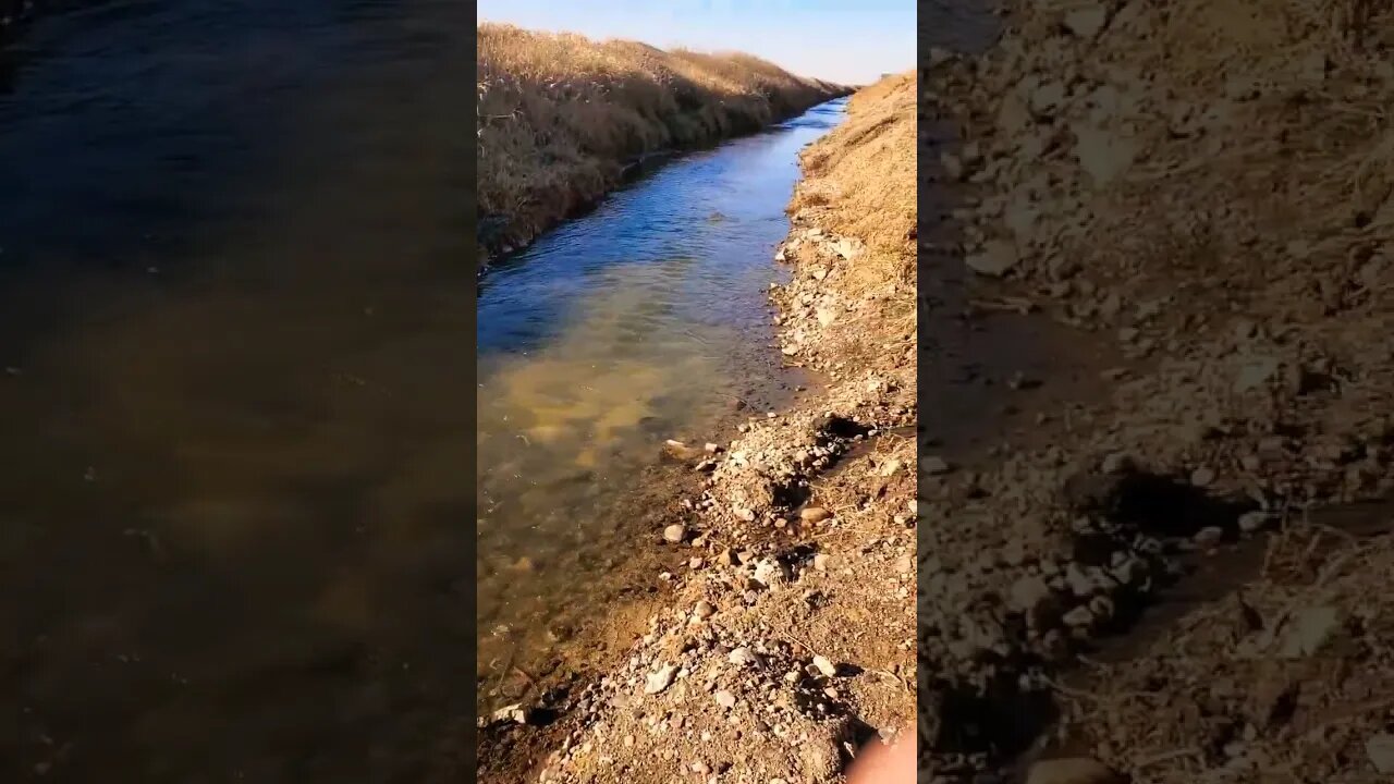 soothing autumn creek.