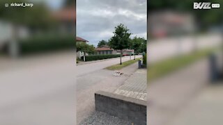 Un homme en dévoile plus que prévu lors d'un saut en vélo