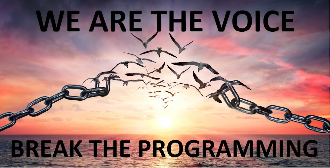 WE ARE THE VOICE - BREAK THE PROGRAMMING