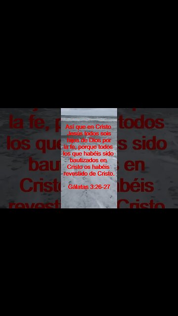 Verso Del Día | Lectura Inspiradora Para Empezar El Día. | 15