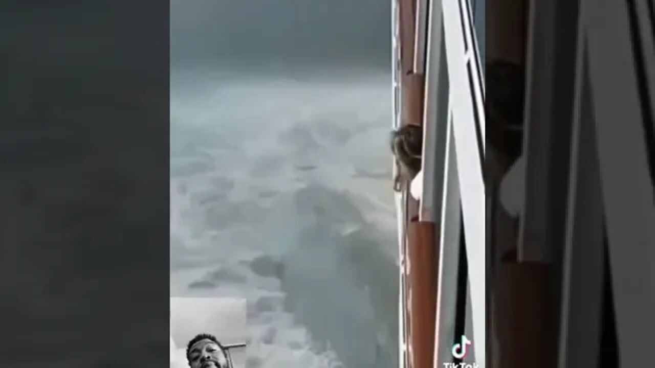 Thoughts On This One?