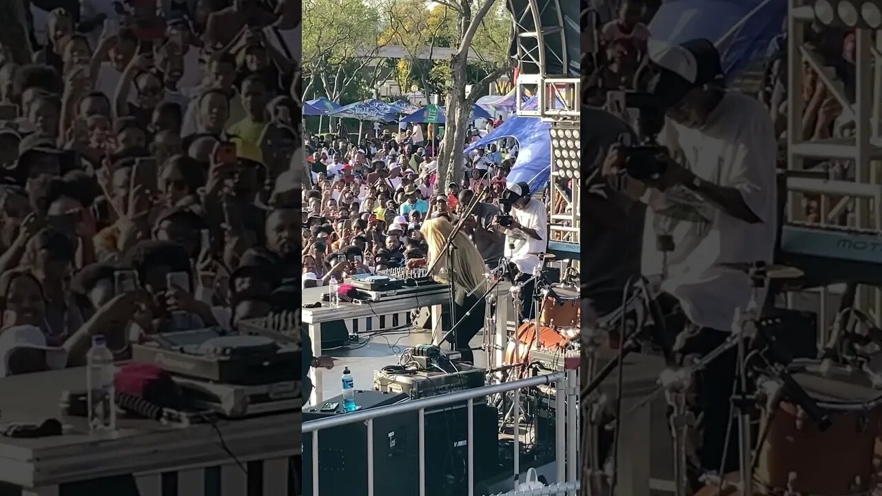 Uncle Waffles - Yahyuppiyah Live Performance Crowd Reaction #Shorts #Amapiano
