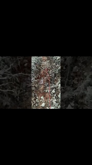 Trench warfare ¿ #ghostmane