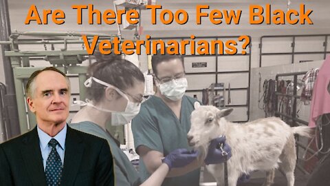 Jared Taylor || Are There Too Few Black Veterinarians?