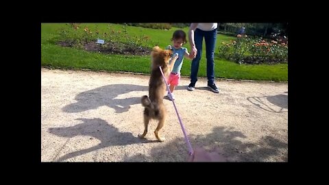 Puppy Meets Baby - Adorable Child Reaction (This Will Make Your Day Better!)