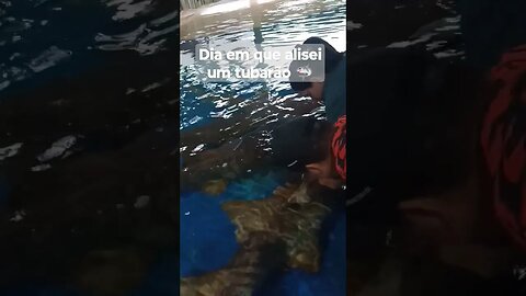 Dia que alisei um tubarão coração a mil muita emoção.
