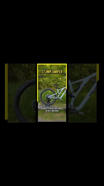 2023 Specialized Stumpjumper Alloy: An Impressive Trail Bike Upgrade