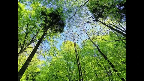 Miłość jest wtedy Beata Antoniuk