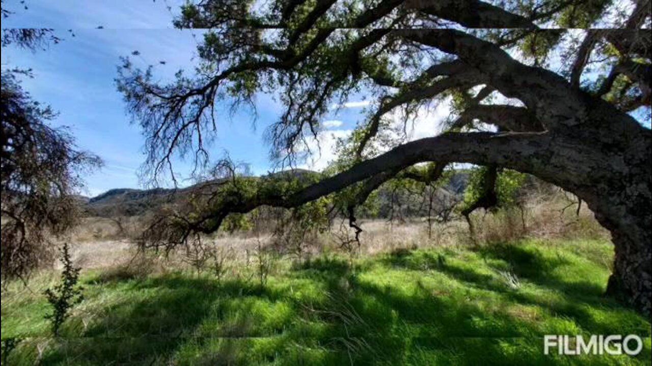 Hill Canyon Trail