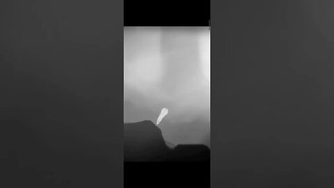 LIMBO @NEWxXxGames #limbo