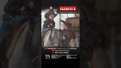 Moo rides, drives and babysits your kids!! He's exclusively on PonyBid.com until Monday, March 6th!