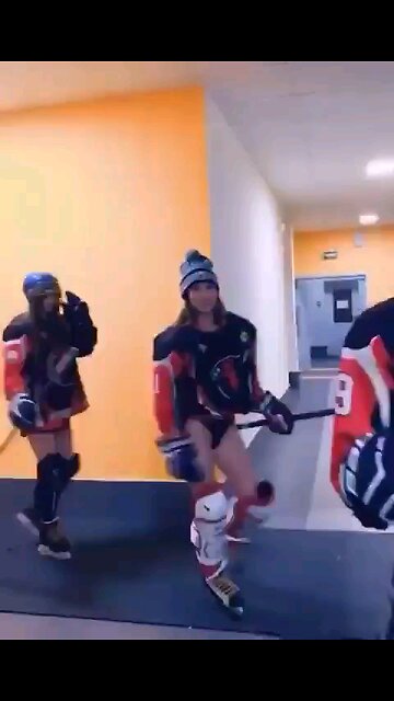 Canadian Ice Hockey has become my favorite sport